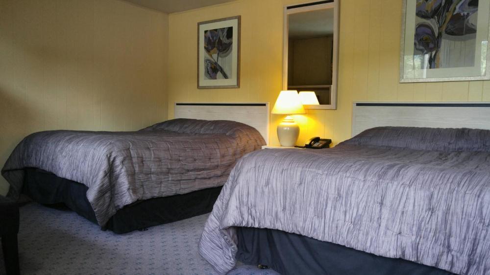Standard Double Room interior